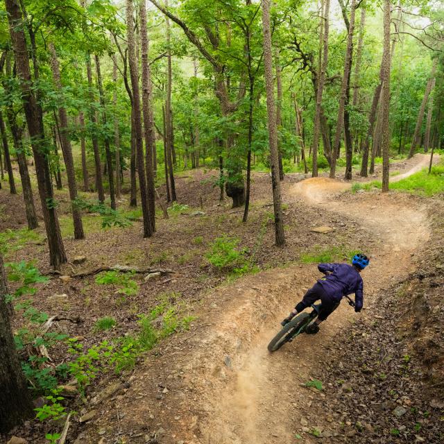 Pinnacle Mountain State Park