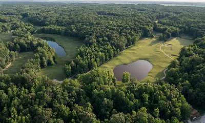 Village Creek State Park