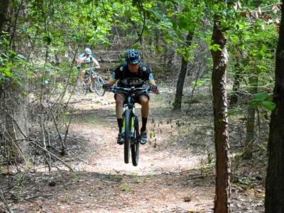 5967fa4c4b3a95b0fcac9325f42d35d9_Fern (1).jpg