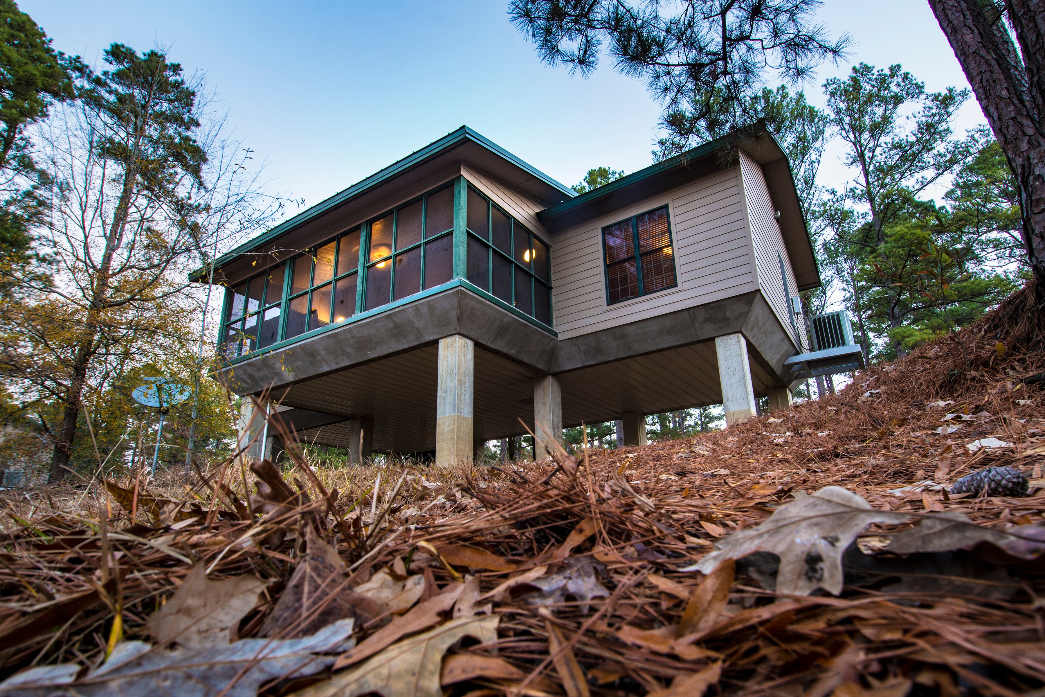 Moro Bay State Park cabin in the trees with fallen leaves on the ground
