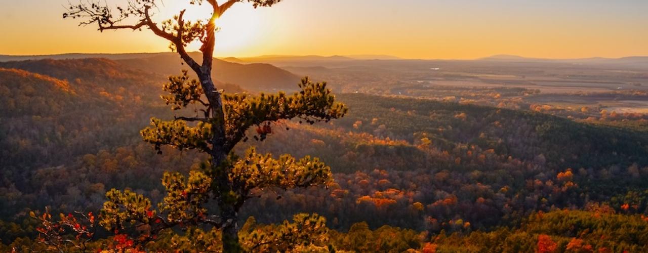 Petit Jean CCC Overlook