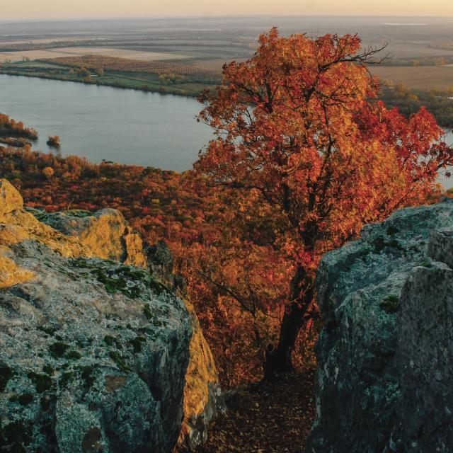 Petit Jean Overlooking Arkansas River